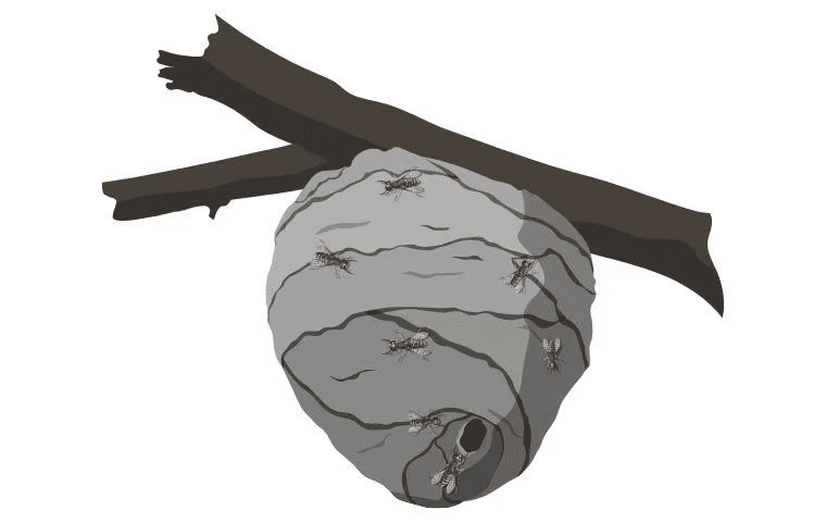 cartoon drawing of hornet nest